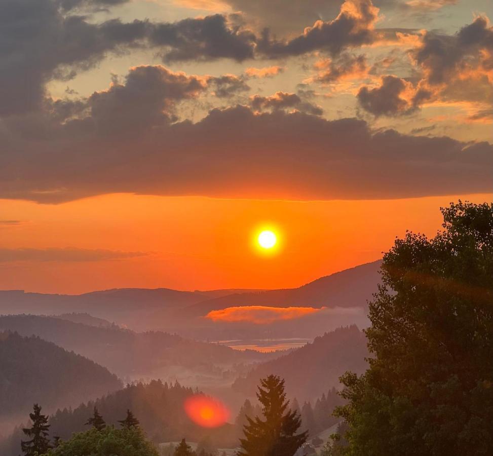 Am Berg Διαμέρισμα Feldberg  Εξωτερικό φωτογραφία