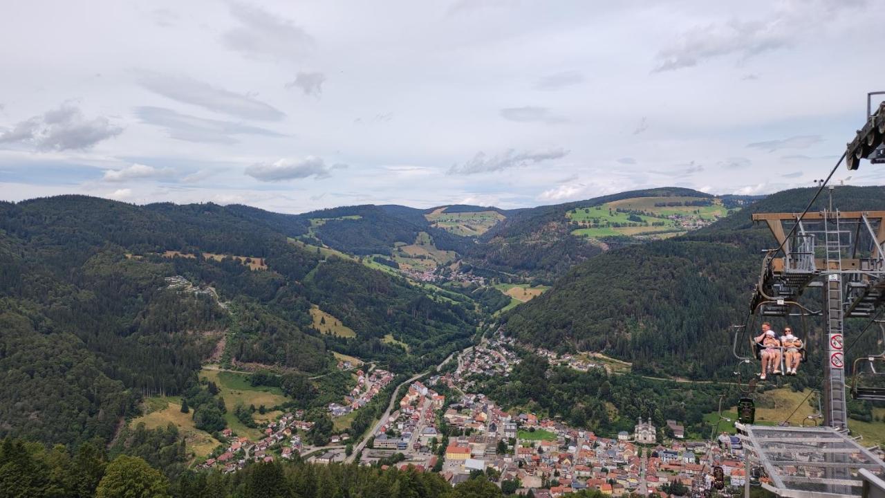 Am Berg Διαμέρισμα Feldberg  Εξωτερικό φωτογραφία